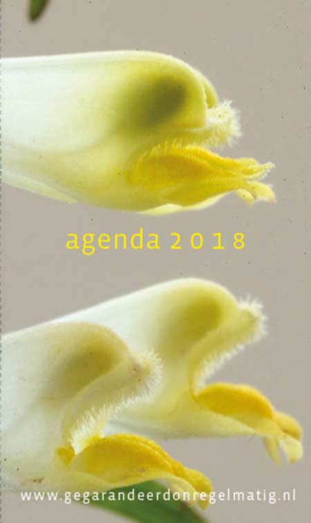 Agenda 2018 Agenda 2018